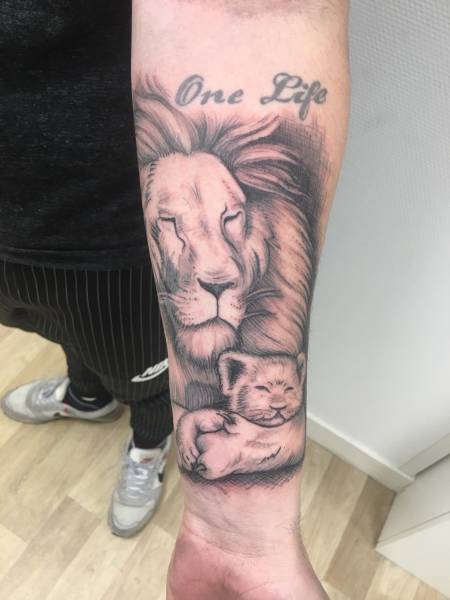tatouage lion et lionceau dessin ambares