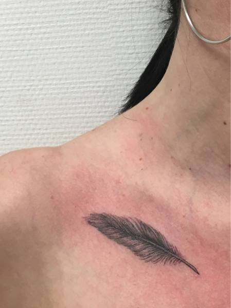 plume minimaliste bordeaux